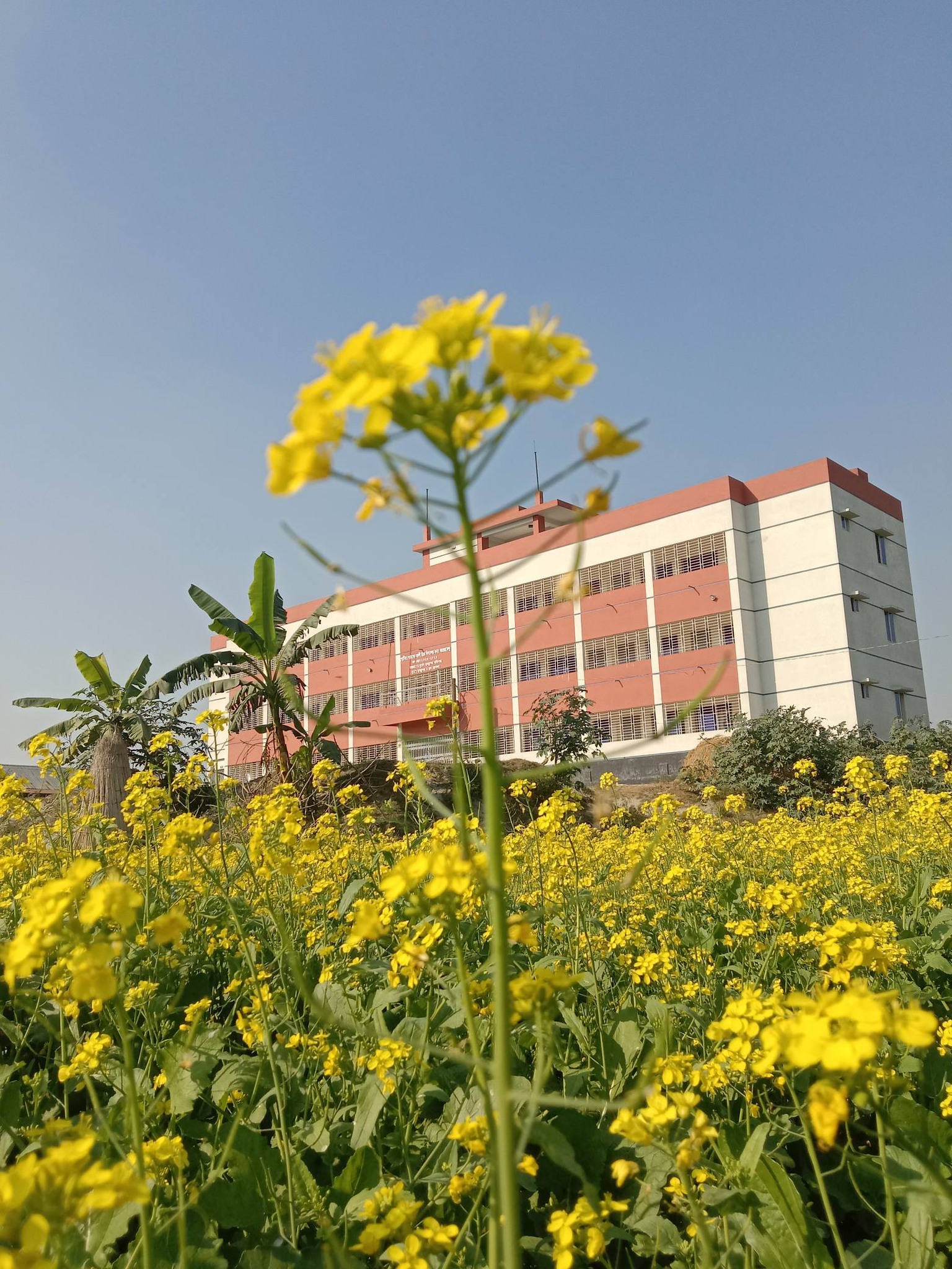 School Image 3