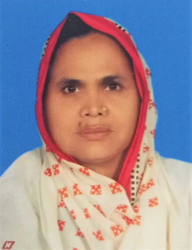 Hamida Parvin Sarkar